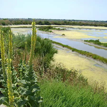 La Petite Maison Sur L'ile De Re לה פלוט
