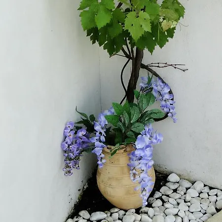 La Petite Maison Sur L'ile De Re