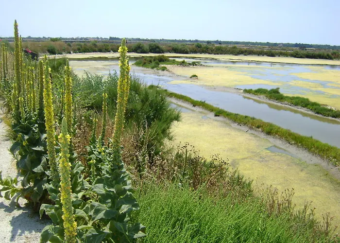La Petite Maison Sur L'ile De Re La Flotte