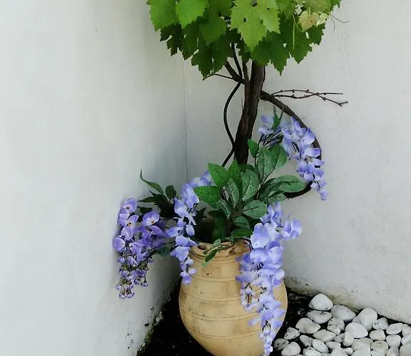 La Petite Maison Sur L'ile De Re